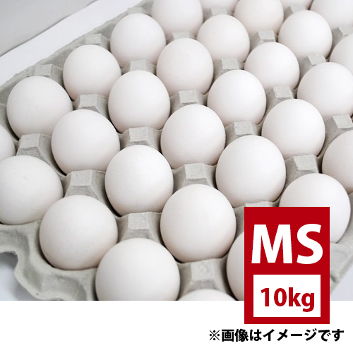 鶏卵 ＭＳサイズ 10kg 約173-192個