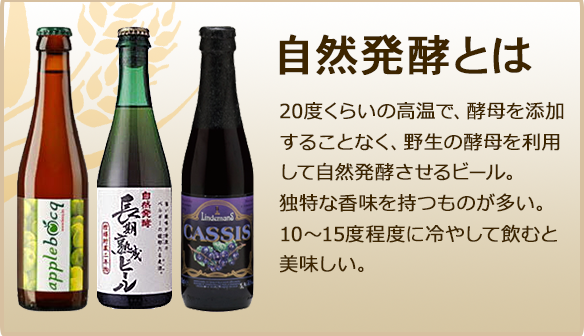 自然発酵とは